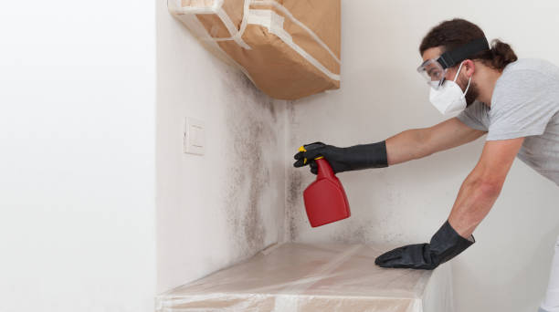 Professional Bathroom Mold Removal technician working in Gladstone, MI