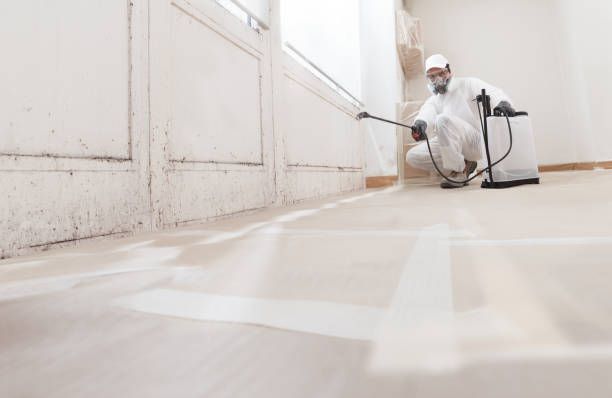 24/7 Emergency Bathroom Mold Removal experts in Gladstone, MI